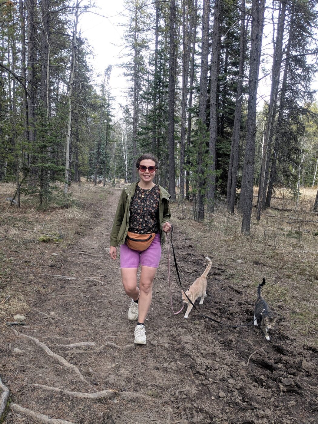 Karolina walking her two cats on leashes through a forest trail